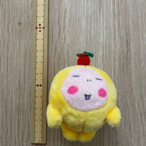 ぽぉ ぬいぐるみ