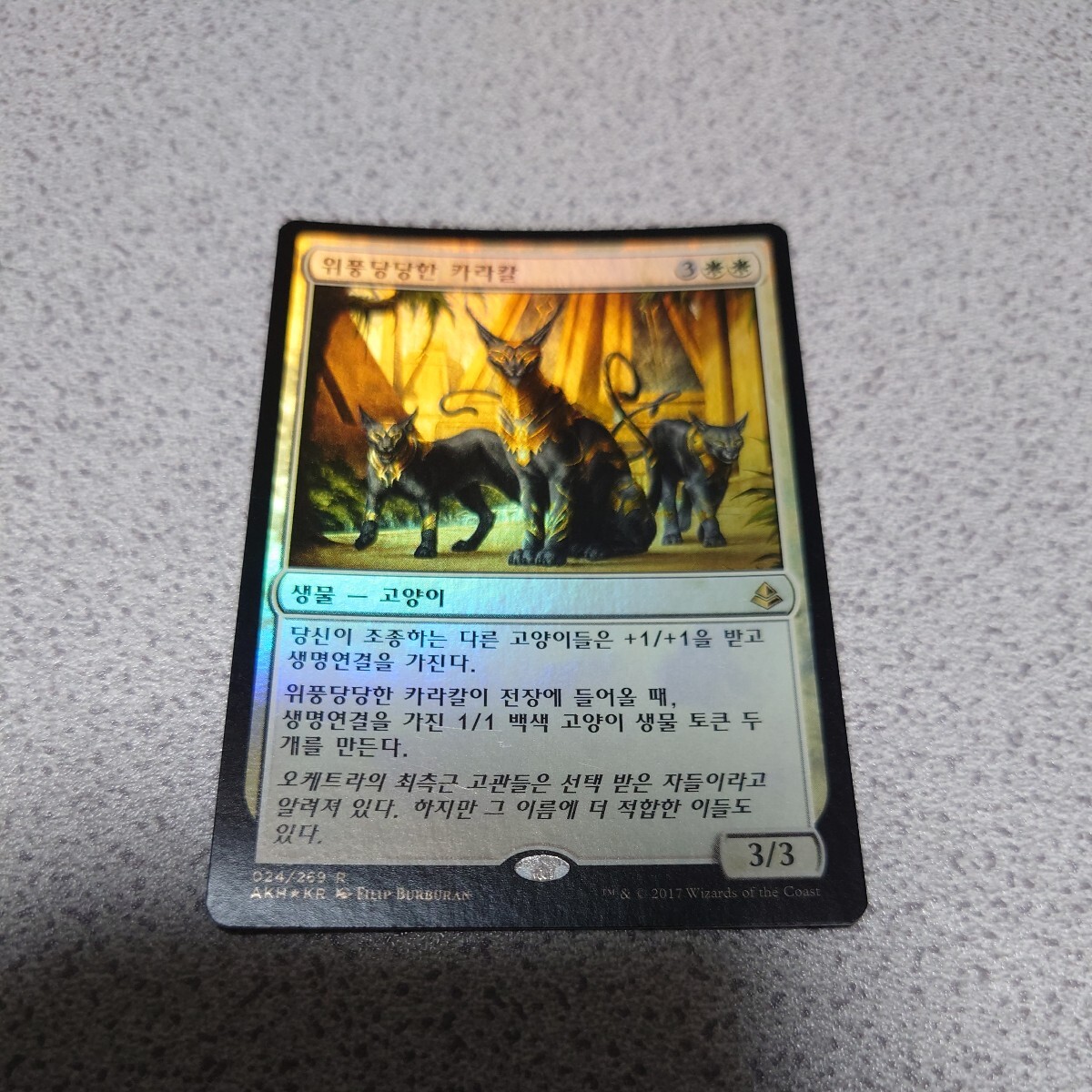 2025年最新】Yahoo!オークション -mtg他言語(Magic: The