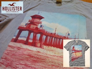 Новый Hollister Grey T -Frish m