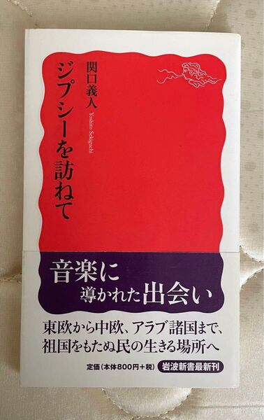 ジプシーを訪ねて (岩波新書 新赤版 1291) 関口義人/著