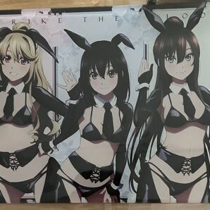 STRIKE THE BLOOD ストライク・ザ・ブラッドFINAL ミニアクリルアート アクリルスタンド 逆バニー ver.