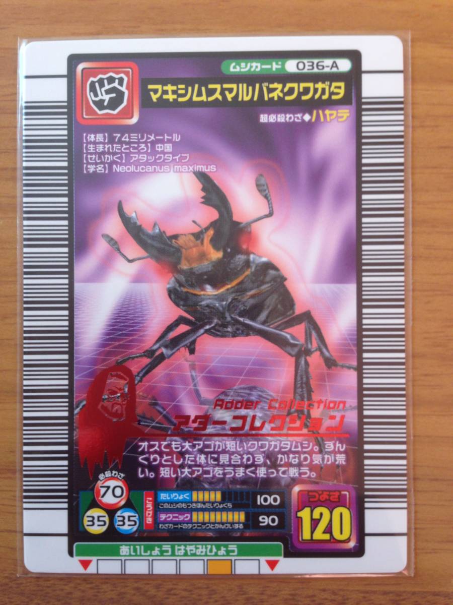 2023年最新】ヤフオク! -マキシムスマルバネクワガタの中古品・新品