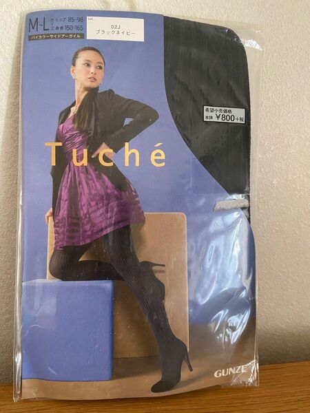 Tuche GUNZE ストッキング タイツ グンゼ バイカラーサイドアーガイル