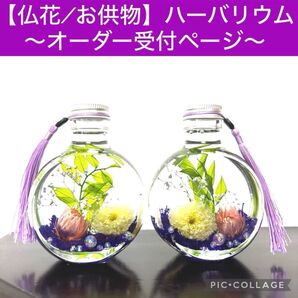 【仏花】〜お供えハーバリウム〜小菊ミルフィーユin大容量2本セット