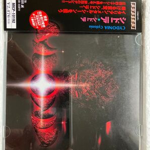 CYDONIA / Cydonia