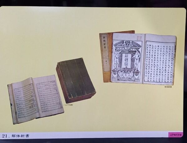 パネル絵 歴史画 解体新書 江戸時代中期