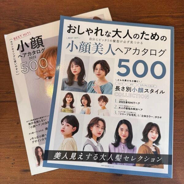 スタイルブック☆2冊セット