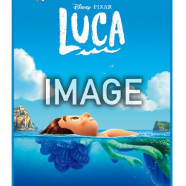 PIXAR ピクサー I賞 ファブリックポスター あの夏のルカ LUCA