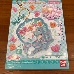 わんだふるぷりきゅあ デコネーム