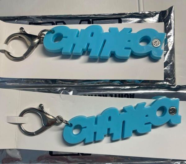 exo チャニョル アクリルキーホルダー a-nation 公式グッズ