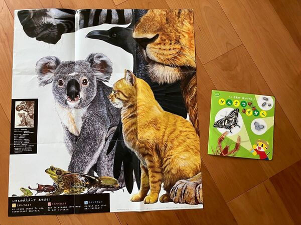 いきものはっけんかんさつずかん いきものポスター こどもちゃれんじすてっぷ