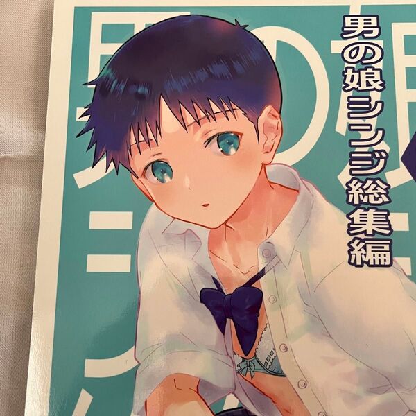 エヴァンゲリオン 同人誌 カヲシン 男の娘シンジ総集編