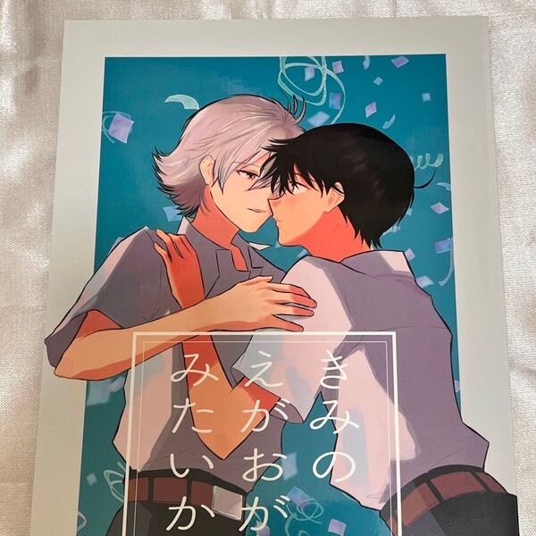 エヴァンゲリオン 同人誌 カヲシン きみのえがおがみたいから