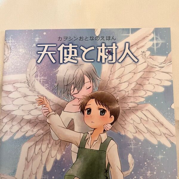 エヴァンゲリオン 同人誌 カヲシン 天使と村人