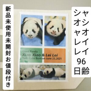 新品未使用未開封レア東京上野動物園パンダ シャオシャオレイレイA4サイズクリアファイル 96日齢 廃盤商品
