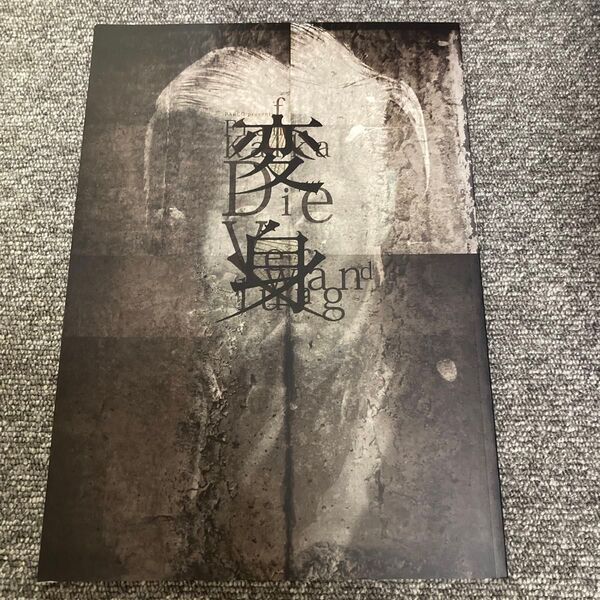 舞台 変身 公演パンフレット 森山未來