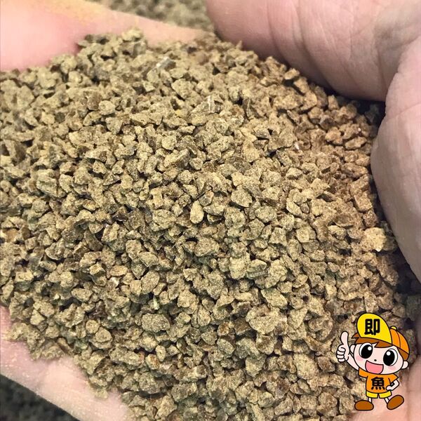 2㎜クランブル餌 1400g入り らんちゅう 金魚 錦鯉 プレコ サナギミール配合で嗜好性大幅にアップ