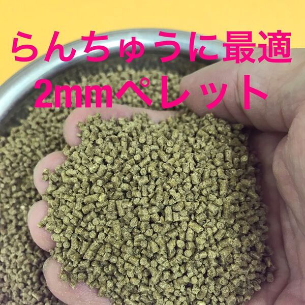 ちょっとお得 2㎜ペレット 1200g入り らんちゅう 土佐金に最適な餌 粉やクズの少ない高品質な餌 消化吸収の良い餌です。