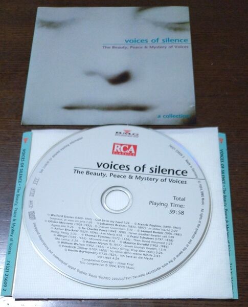 voice of silence