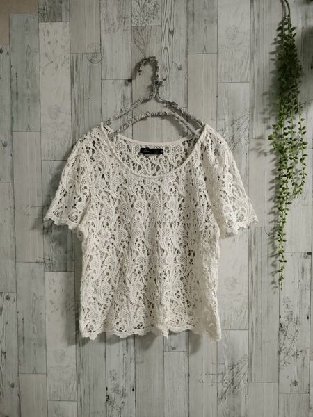 レースカットソーМ オフホワイト 夏服 コットン 半袖