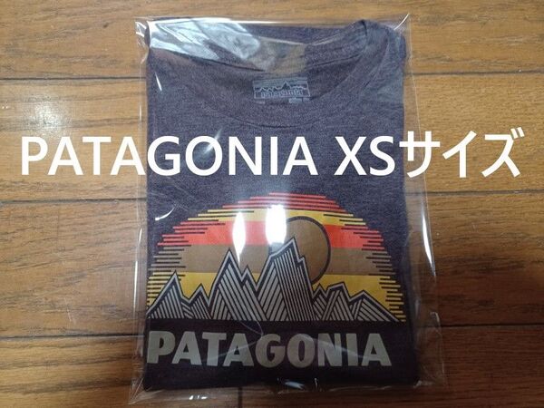 patagonia Tシャツ XSサイズ スリムフィット