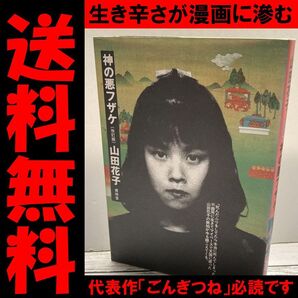 送料無料 神の悪フザケ 享年24歳 山田花子 世の中の矛盾と生きづらさに泣ける