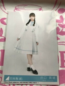 井口眞緒 生写真 ドレミソラシド 初回盤封入特典 日向坂46 硬化ケース付き