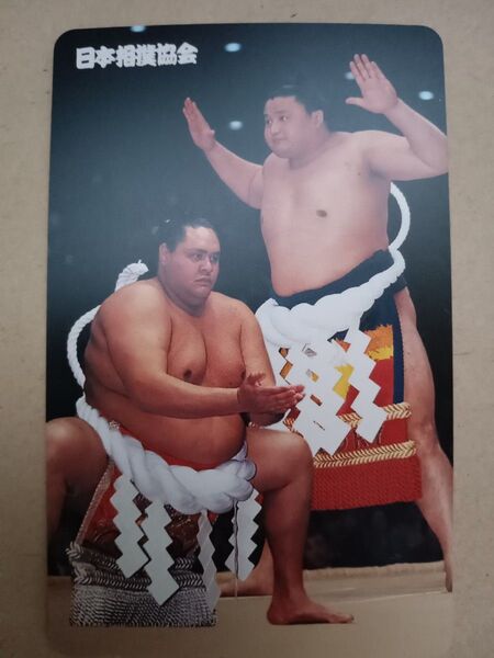 《マニア必見!!》大相撲 相撲 グッズ テレフォンカード テレカ 貴乃花 曙 追悼 記念品 雑誌