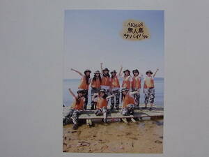 AKB48 「無人島サバイバル」DVD 特典生写真●集合