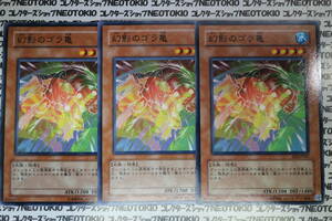 遊戯王 幻影のゴラ亀(ノーマル EE2)×3枚セット