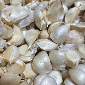 青森県産にんにく バラにんにく3キロ 青森にんにく ホワイト六片種にんにく 国産にんにく 大中小粒混合