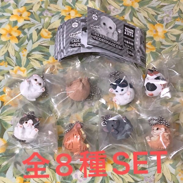 まんまるねこマスコット〜人気ねこちゃん大集合〜全8種SET