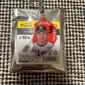阪神タイガース ニコイチアクキー 大山悠輔