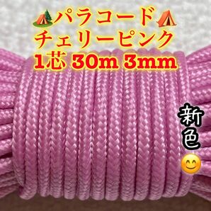 パラコード 1芯 30m 3mm 33番 手芸とアウトドアなど用