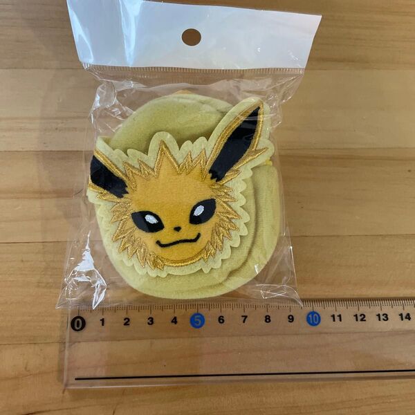 ポケモン ミニポーチ