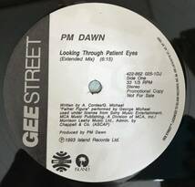 P.M.DAWN / LOOKING THROUGH PATIENT EYES / ジャケあり US PROMO 盤_画像3