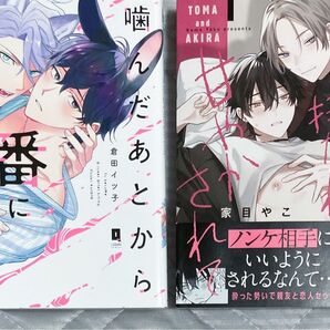 BL漫画 コミック 2冊セット 倉田イツ子 家目やこ