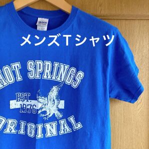 GILDAN ギルダン メンズTシャツ Mサイズ ブルー カレッジロゴ風 鷹 鷲 アニマル柄
