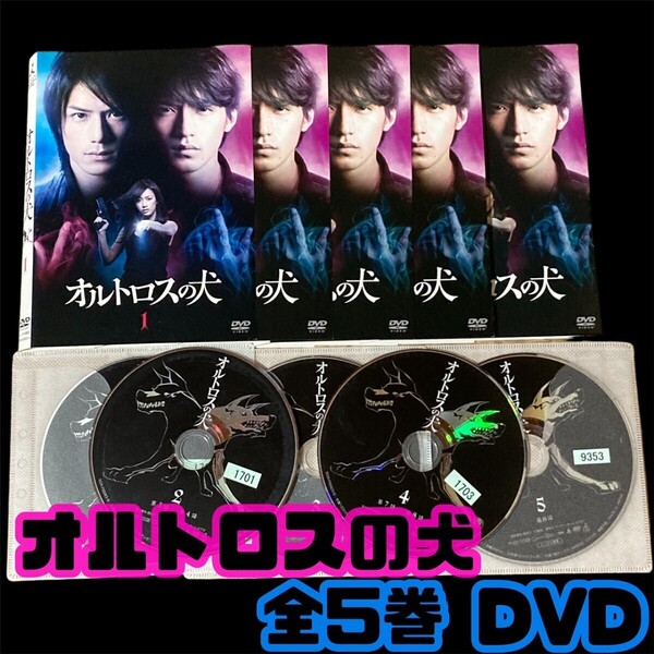 【匿名配送/送料無料】 オルトロスの犬 全5巻 レンタル落ちDVD 滝沢秀明 錦戸亮 八乙女光 水川あさみ ドラマ サスペンス TBS