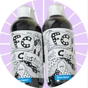 FCカラーキープトリートメント コアブラック 250ml 2本セット ①