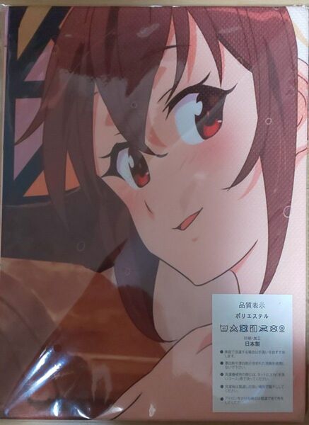 この素晴らしい世界に祝福を! タオル 布ポスター