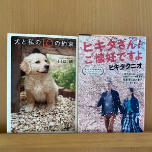 文庫本『ヒキタさん!ご懐妊ですよ』ヒキタクニオ 『犬と10の約束』川口晴