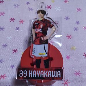 浦和レッズ ペットボトルマーカー 早川隼平 ファジアーノ岡山