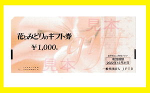 花とみどりのギフト券　１０００円