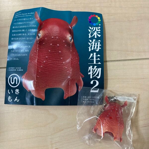 深海生物2 いきもん メンダコ ガチャ