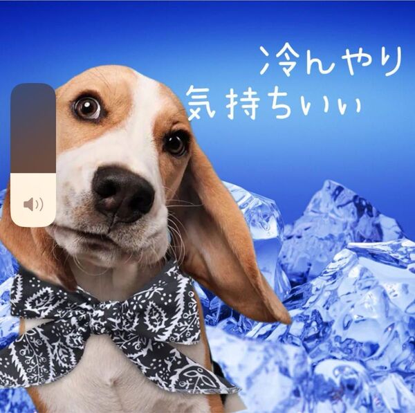 【新品】ペット用 犬・猫の冷却バンダナ 熱中症対策 冷感 クールネック 選べる3色 ひんやり ネッククーラー 散歩 首輪