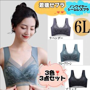 体型カバー胸を小さく見せる 着痩せブラ スリム シルエットブラ シームレス 6L シームレスブラ ノンワイヤー