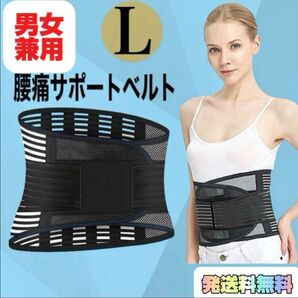 コルセット 腰痛ベルト L 男女兼用 サポートベルト 腰用ベルト 姿勢矯正 腰痛ベルト 腰ベルト 骨盤ベルト