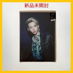 Stray Kids UNLOCK : GO LIVE IN LIFE ポスター フィリックス FELIX