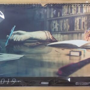 限定 未開封 死印 NG エヌジー 壁掛けカレンダー ビジュアルアート イラスト集 友野るい 純生文屋 kera 大屋和博